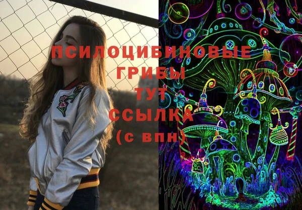 СК Алзамай
