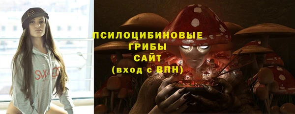 СК Алзамай