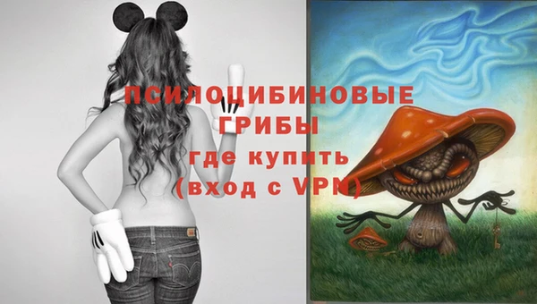 СК Алзамай