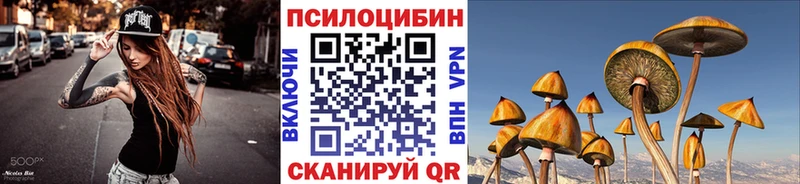 Псилоцибиновые грибы Psilocybine cubensis  купить  цена  Бокситогорск 